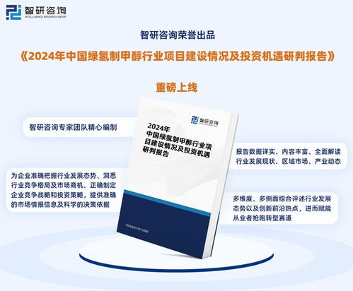 2024版中國綠氫制甲醇行業(yè)市場概況分析及投資前景分析報(bào)告