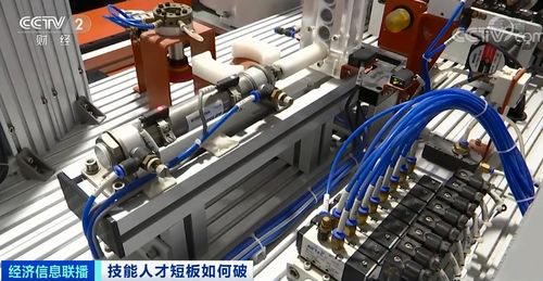 從大廠程序員到工廠螺絲釘 一位海歸的選擇與重生